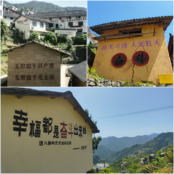 http://www.bioformswitzerland.cn/hsdt/234.html
